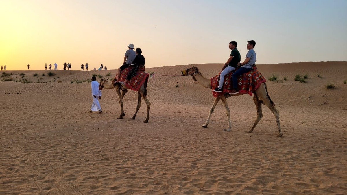 Premium Al Ain Private Desert Safari & Camp in Al Ain | Best Price