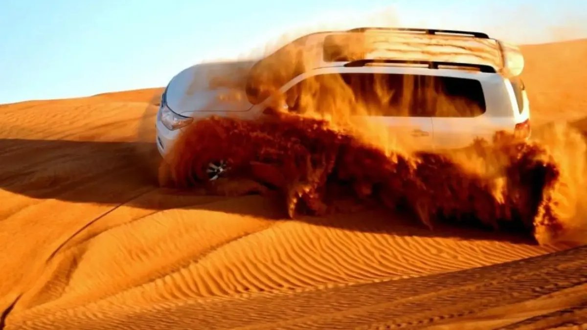 Premium Al Ain Family Evening Safari (Sharing / Group) in Al Ain | Best Price